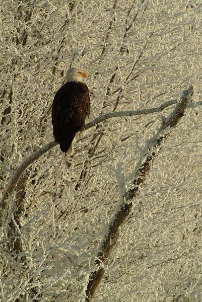 DSCF6631LoRes