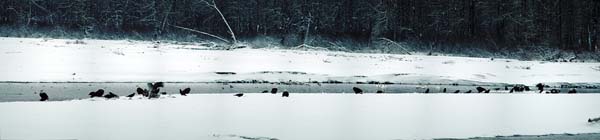 Panorama1LLoRes