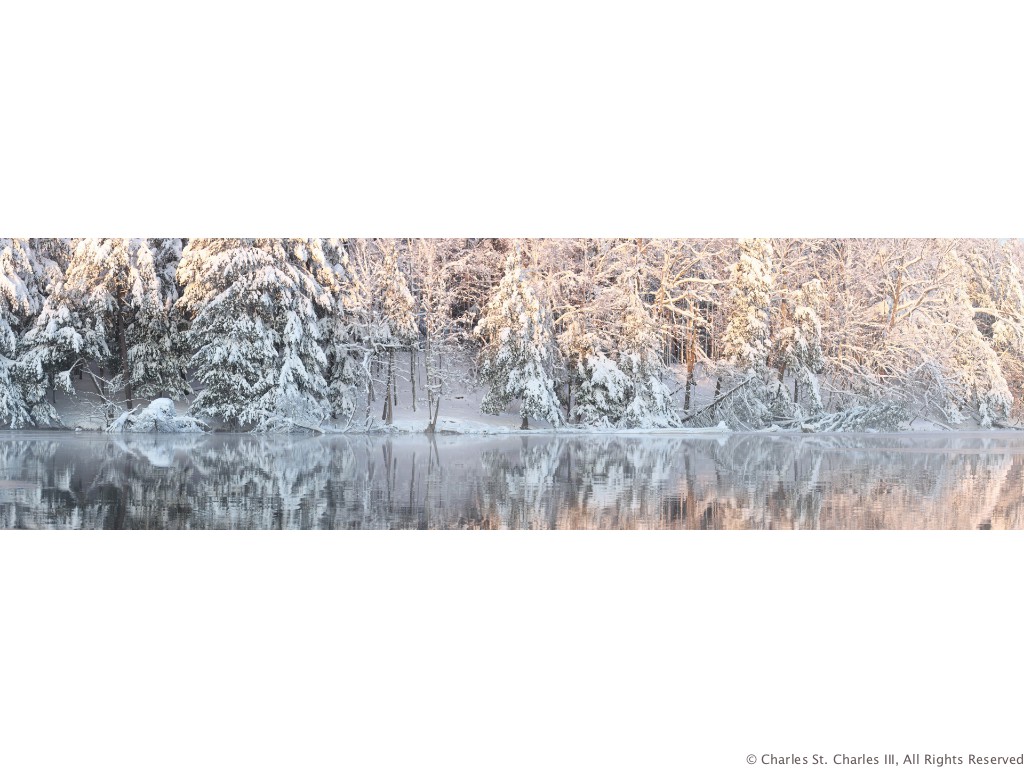 Winter Dreams