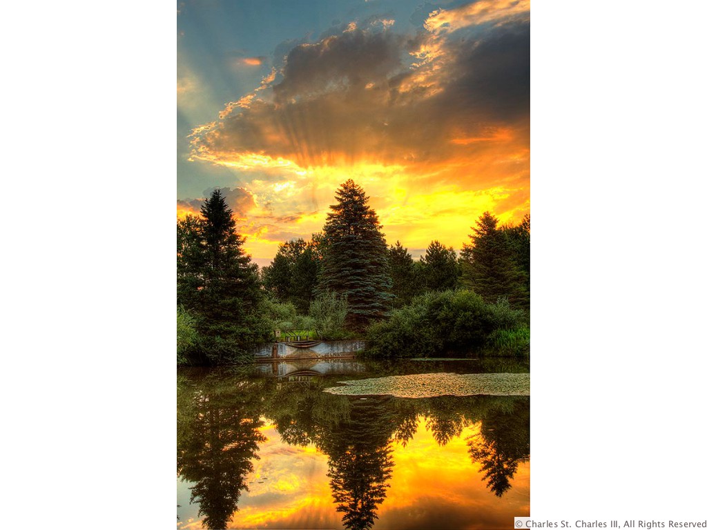 Golden Pond