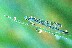 DSCF5129_10x15